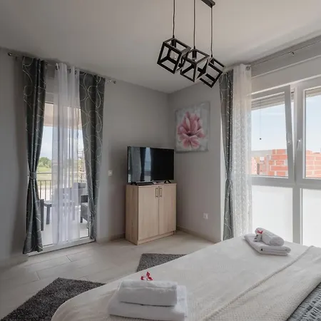 Rosa * 프리블라카