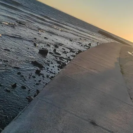 Rosa * Privlaka (Zadar)